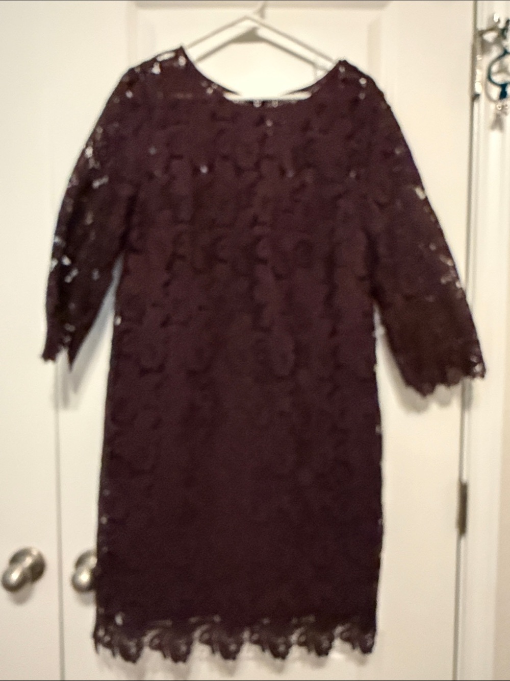 LOFT Plum Lace Shift Dress with Three-Quarter Sleeves